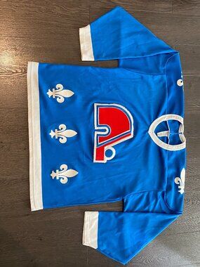 Vintage 90s Quebec Nordiques CCM NHL Blue Away Hockey Jersey KIDS Large Canada